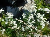 Фотография Гордеевой Татьяны