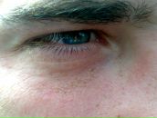 Фотография Чайка Виктория