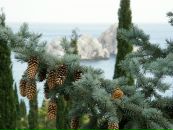 Іра Максимець фотография #5 (источник - https://vk.com/id59768698)