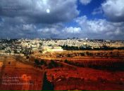 Либа Симоненко фотография #50 (источник - https://vk.com/id15219335)