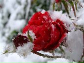 Дарина Осіпчук фотография #1