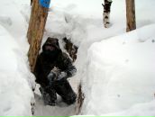 Фотография Артамонова Артёма