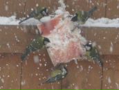 Сергей Богачев фотография #1