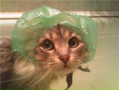 Александр Щеглов фотография #5 (источник - https://vk.com/id9457214)