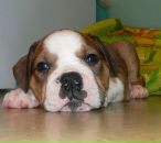 Фотография Кузнецовой Кати