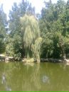 Надія Заблоцька фотография #8 (источник - https://vk.com/id97473018)