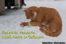 Сєрик Звірід фотография #38 (источник - https://vk.com/id91382499)