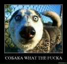 Иван Иванов фотография #1