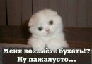Фотография Ярошука Дмитрия