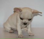 Фотография Джумской Катерины