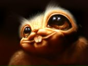 Анна Дмитрів фотография #26 (источник - https://vk.com/id13360115)