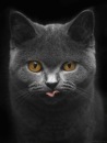 Фотография Федор Шерихов