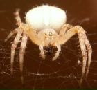 Евгений Евсеев фотография #9 (источник - https://vk.com/id1179546)