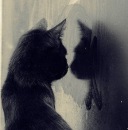 Олічка Khlivna фотография #40 (источник - https://vk.com/id35617911)