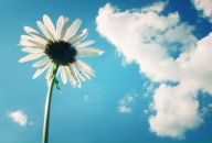 Фотография Мальковой Татьяны