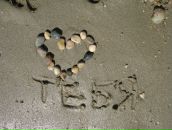 Фотография Антонов Никита