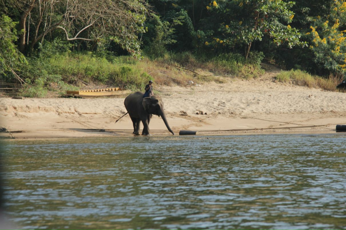 Дмитрий Симонов фотография #28