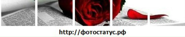 Марта Квінтюк фотография #34 (источник - https://vk.com/id73580532)