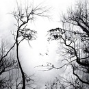 Фотография Григорьева Александра