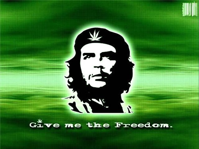 Серёга Никонов фотография #46