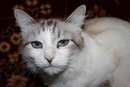 Фотография Токарь Екатерины