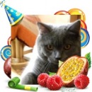 Фотография Завгородней Светланы