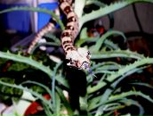 Фотография Демидовой Наталии