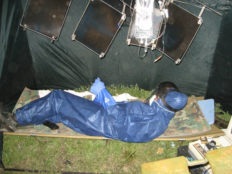 Lion Cat фотография #14