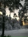 Фотография Собольковой Светланы