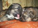 Фотография Михайловой Марины