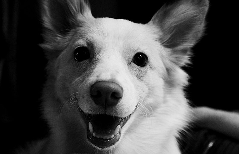 Эля Томилова фотография #12