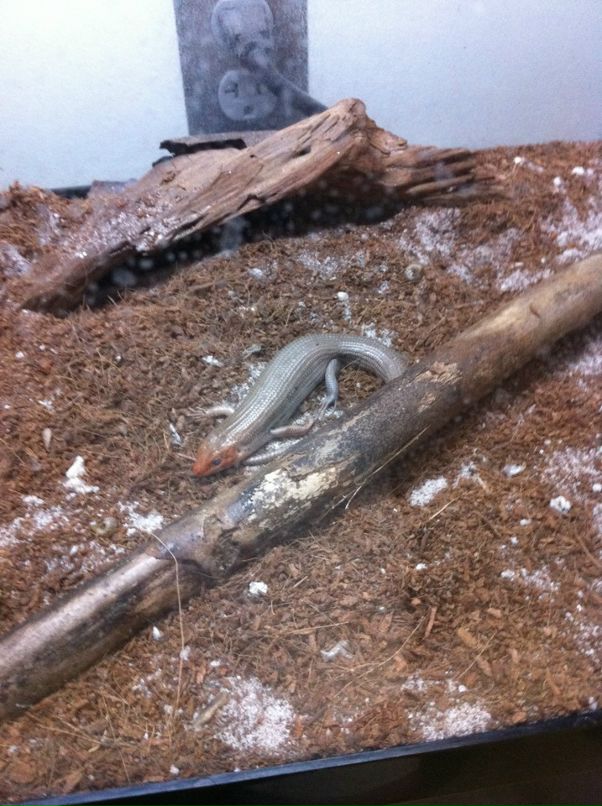 Just Michael фотография #9