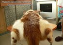 Андрий Хольвінський фотография #45 (источник - https://vk.com/id161964560)