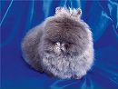 Фотография Игоревны Елены