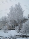Свєта Цимбал фотография #3 (источник - https://vk.com/id140220828)