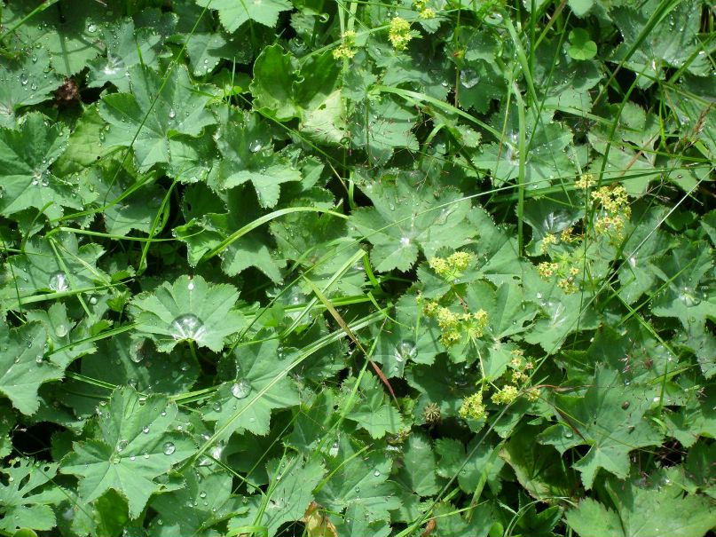 Дарья Торпачёва фотография #40