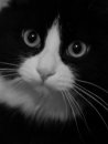 Фотография Клементьева Дмитрия