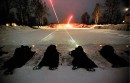 Mitia Lilopes фотография #19 (источник - https://vk.com/id3167196)