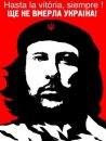 Андрій Пікуш фотография #24 (источник - https://vk.com/id16287785)
