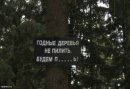 Виктор Галкин фотография #48 (источник - https://vk.com/id542723)
