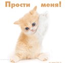 Юляська Карауш фотография #29 (источник - https://vk.com/id52006340)