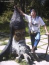 Сергей Савельев фотография #3 (источник - https://vk.com/id8663058)