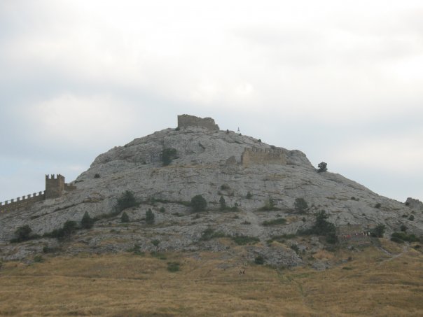  фото №41