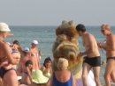 Виктор Кос фотография #44 (источник - https://vk.com/id2267781)