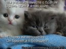 Фотография Соловьевой Елены