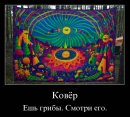 Віталій Болдін фотография #32 (источник - https://vk.com/id10949238)