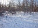 Фотография Ковбасюка Арнольда