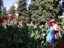 Фотография Екатерина Шибанова