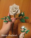 Марія Чижович фотография #50 (источник - https://vk.com/id137866995)