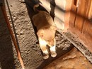 Лунтік Гончар фотография #19 (источник - https://vk.com/id166818416)